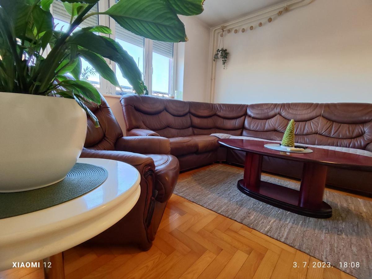 Srecko No3 Apartment Белград Екстериор снимка
